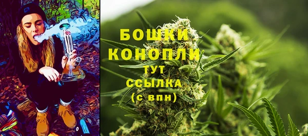 гидропоника Бородино