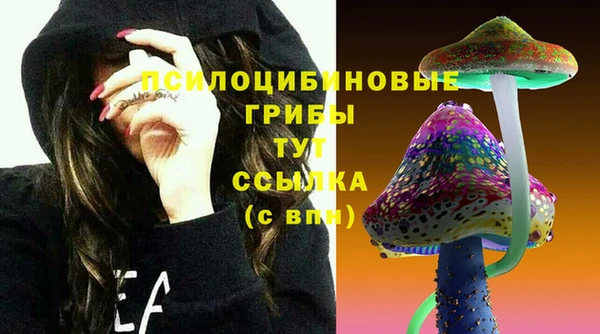 гидропоника Бородино