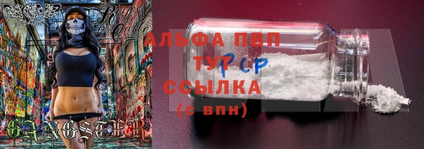 гидропоника Бородино