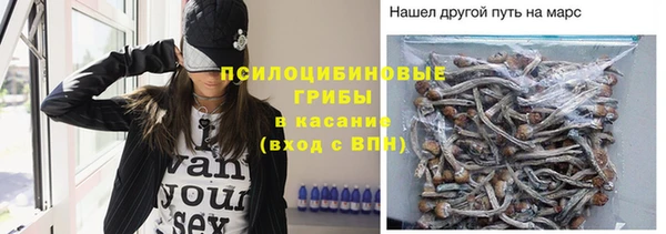 гидропоника Бородино