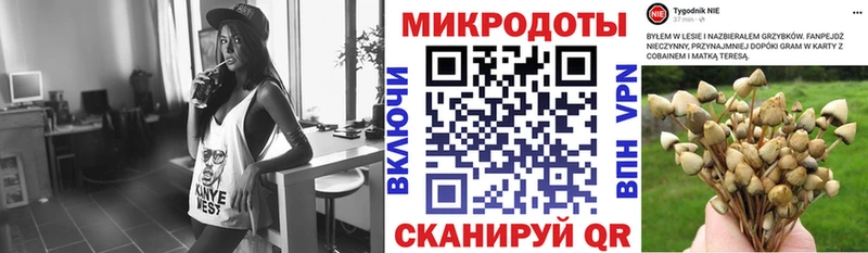 Галлюциногенные грибы мухоморы  Купить  Камешково 